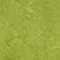 3247 Green Fresco 
